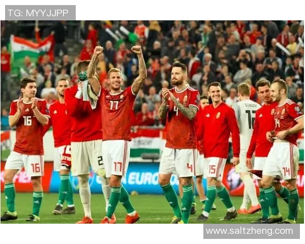 匈牙利对阵冰岛比赛前瞻及胜负预测分析详解